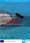 cover azilne price 2013